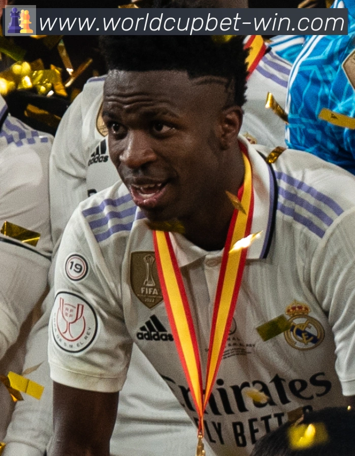 维尼修斯